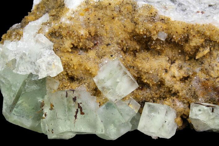 Sea-foam Green, Cubic Fluorite Crystal Cluster - Morocco #138249